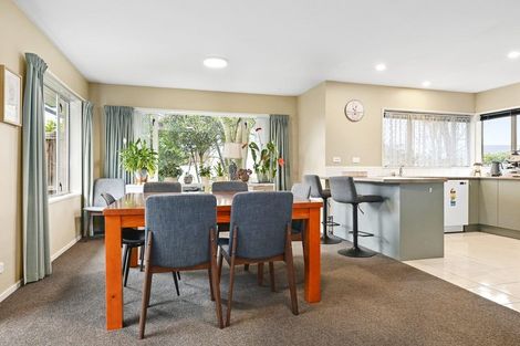 Photo of property in 163 Regent's Park Drive, Casebrook, Christchurch, 8051