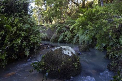Photo of property in 1238 Fern Flat Road, Peria, 0479