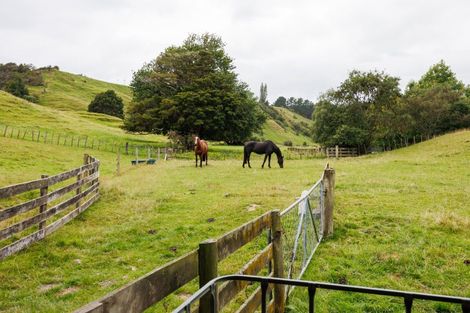 Photo of property in 29 Kuku Road, Pohangina, Ashhurst, 4884