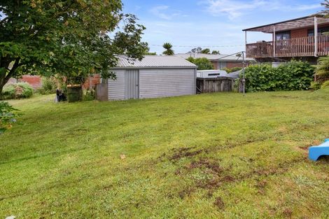 Photo of property in 12 Sholson Street, Putaruru, 3411