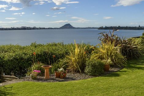 Photo of property in 296 Maungatapu Road, Maungatapu, Tauranga, 3112