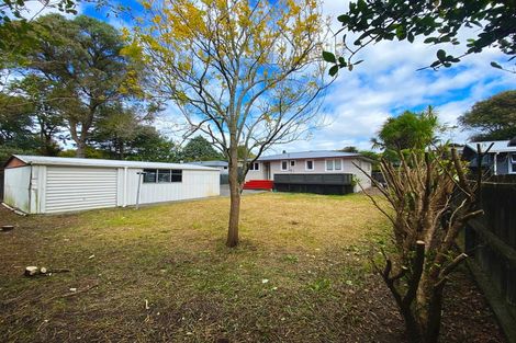 Photo of property in 12 Lucinda Place, Glen Eden, Auckland, 0602