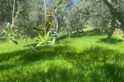 Photo of property in 14 Mcgiven Place, Coatesville, 0793