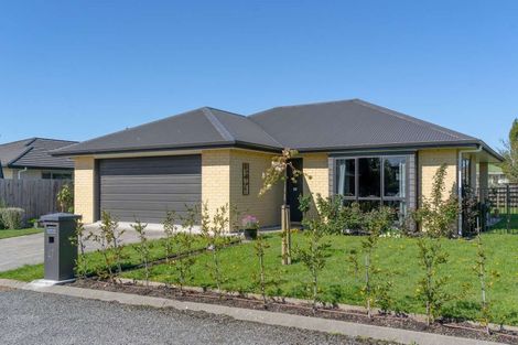 Photo of property in 47 Daniell Street, Solway, Masterton, 5810