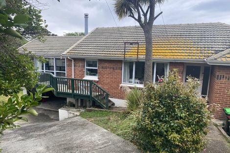 Photo of property in 207 Forfar Street, Maryhill, Dunedin, 9011