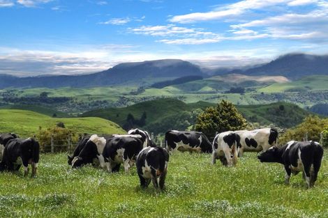 Photo of property in 1 Takapari Road, Pohangina, Ashhurst, 4884