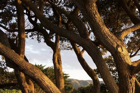 Photo of property in 19 The Crescent, Raumati South, Paraparaumu, 5032