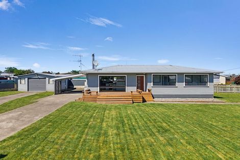 Photo of property in 17 Montgomery Street, Waipukurau, 4200