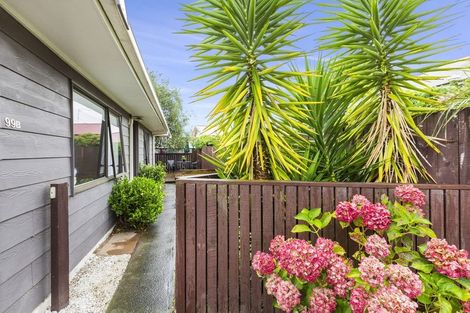 Photo of property in 99b Nixon Street, Hamilton East, Hamilton, 3216