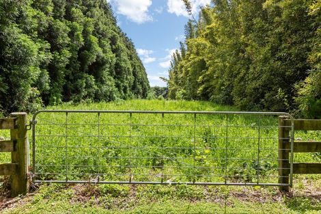 Photo of property in 139 Richmond Road, Brixton, New Plymouth, 4373