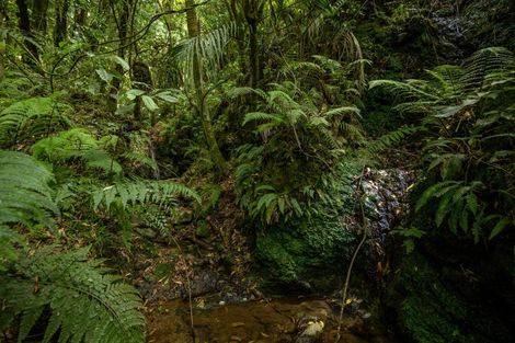 Photo of property in 185 Kanuka Rise, Wakapuaka, Nelson, 7071