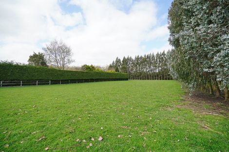 Photo of property in 420 Mcivor Road, Myross Bush, Invercargill, 9876