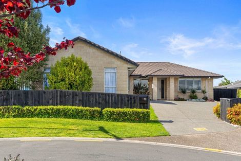 Photo of property in 10 Carex Close, Pyes Pa, Tauranga, 3112