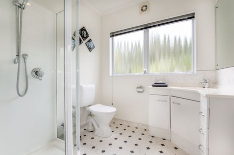 Photo of property in 51 Greenwood Road, Havelock North, 4130