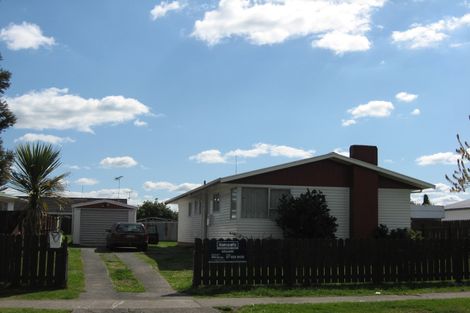 Photo of property in 73 James Henry Crescent, Huntly, 3700