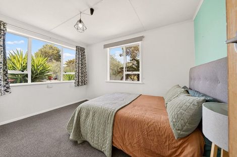 Photo of property in 47 Ferry Road, Martinborough, 5711