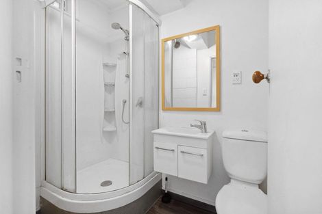 Photo of property in Fairmont Flats, 1c/20 Maarama Crescent, Aro Valley, Wellington, 6021