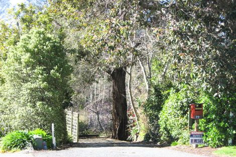 Photo of property in 77 Kopanga Road, Havelock North, 4130
