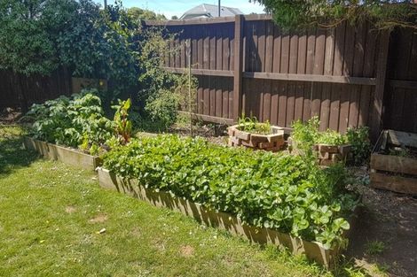 Photo of property in 62 Estuary Road, New Brighton, Christchurch, 8061