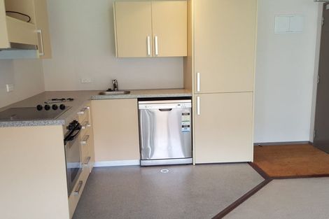 Photo of property in Dual Apartments, 210/142 Vivian Street, Te Aro, Wellington, 6011