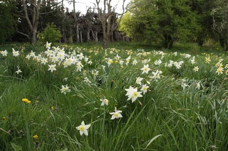 Photo of property in 85 Tokarahi-duntroon Road, Tokarahi, Oamaru, 9491