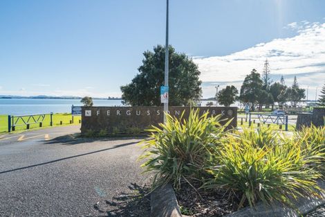 Photo of property in 22 Woods Avenue, Matua, Tauranga, 3110