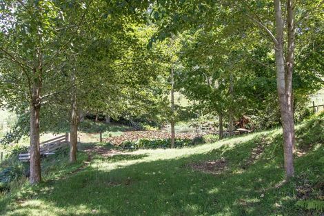 Photo of property in 822 Motukawa Road, Tarata, Inglewood, 4387