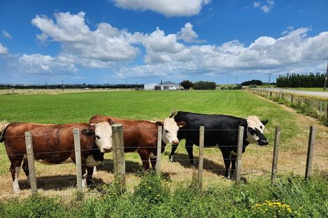 Photo of property in 2 Tramline Road, Ruawai, 0592