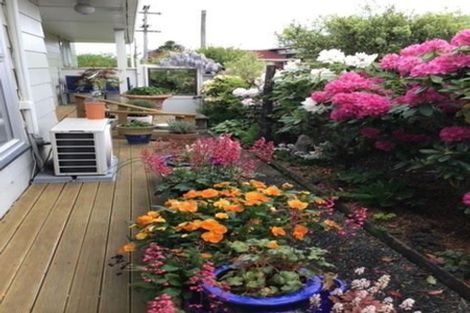 Photo of property in 14 Cross Street, Milton, 9220