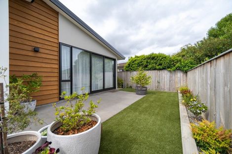 Photo of property in 11/7 Florence Street, Richmond, 7020