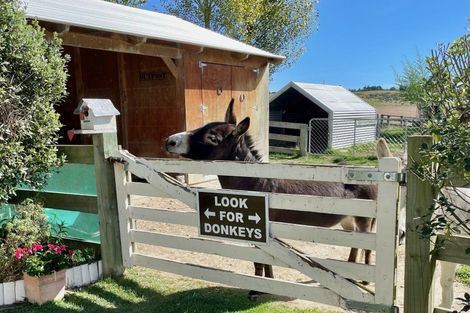 Photo of property in 805 Opihi Road, Totara Valley, Pleasant Point, 7982