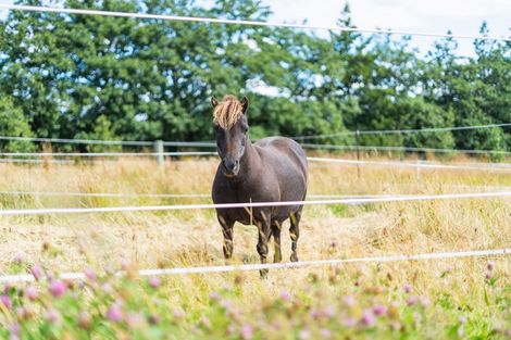 Photo of property in 56 Tirohanga Road, North Taieri, Mosgiel, 9092