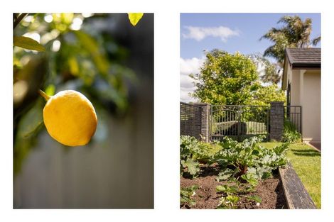 Photo of property in 2 Brackenburn Drive, Ohauiti, Tauranga, 3112