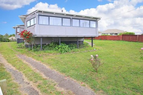 Photo of property in 21 Clothier Street, Putaruru, 3411