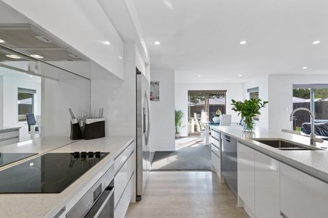 Photo of property in 17 Brusio Drive, Wigram, Christchurch, 8025