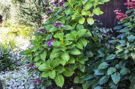 Photo of property in 1/1 Rosebank Terrace, Stoke, Nelson, 7011