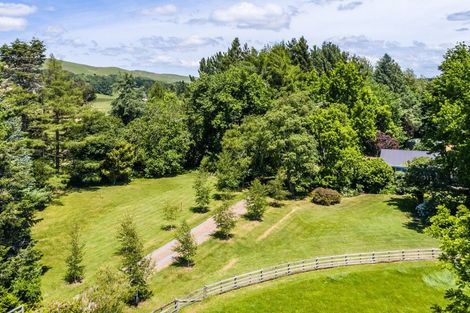 Photo of property in 414 Rakaiatai Road, Ormondville, Dannevirke, 4977