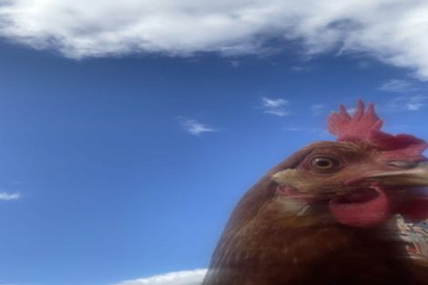 Photo of property in 64 Pukekauri Road, Waikino, Waihi, 3682