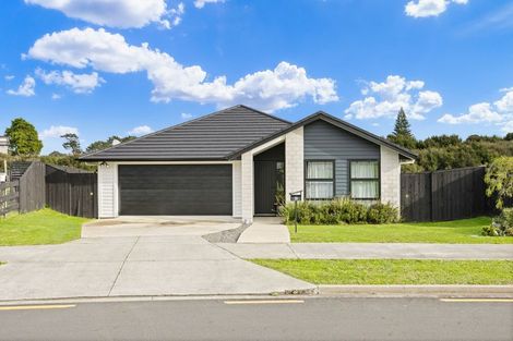 Photo of property in 19 Tahuna Minhinnick Drive, Glenbrook, Waiuku, 2681