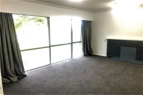 Photo of property in 55 James Henry Crescent, Huntly, 3700