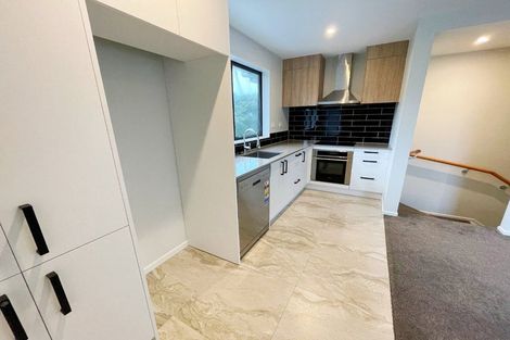 Photo of property in 66 Makamaka Lane, Albany Heights, Auckland, 0632