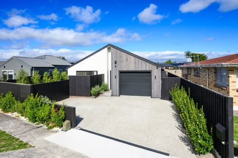 Photo of property in 46 Napier Road, Terrace End, Palmerston North, 4410