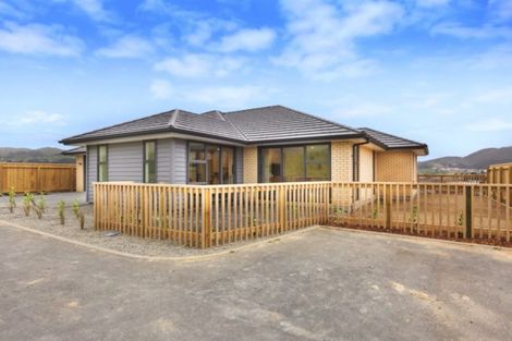 Photo of property in 169 John Burke Drive, Aotea, Porirua, 5024