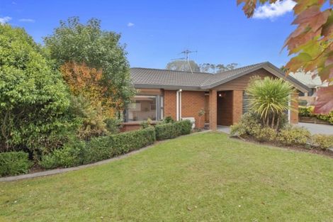 Photo of property in 263 Grandview Road, Western Heights, Hamilton, 3200