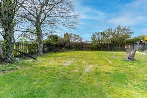 Photo of property in 217 Union Street, Milton, 9220