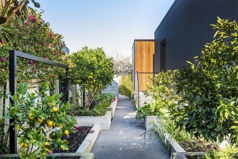 Photo of property in 35 Poynder Avenue, Merivale, Christchurch, 8014