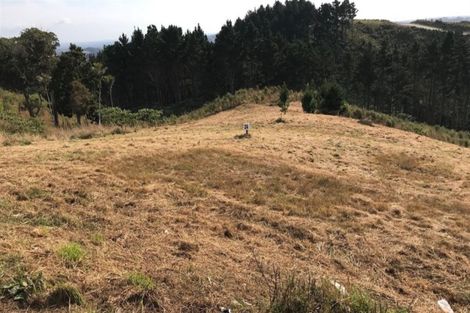 Photo of property in 167 Solway Road, Whitford, Manurewa, 2576