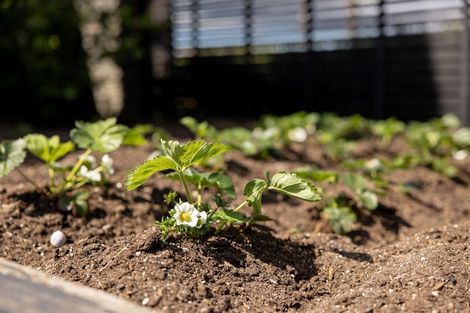 Photo of property in 2 Brackenburn Drive, Ohauiti, Tauranga, 3112