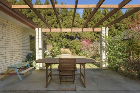 Photo of property in 16 Edwin Grove, Bethlehem, Tauranga, 3110