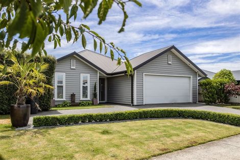 Photo of property in 17 Adams Street, Kaiapoi, 7630